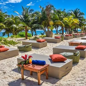 Mia Tulum Beachfront Resort - Ocean View Suites And Beach Club מלון